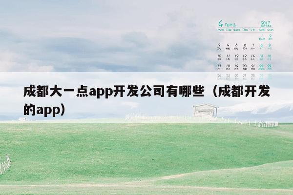 成都大一点app开发公司有哪些（成都开发的app）