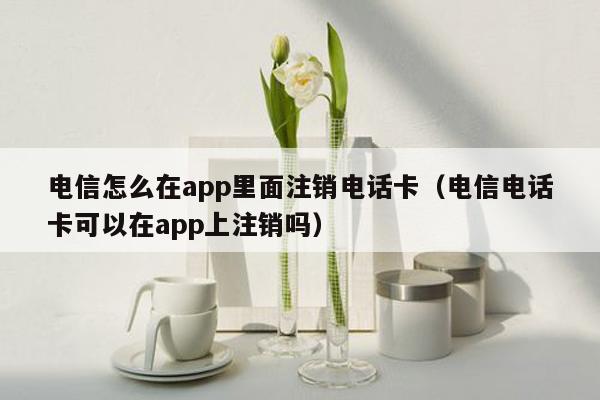 电信怎么在app里面注销电话卡（电信电话卡可以在app上注销吗）