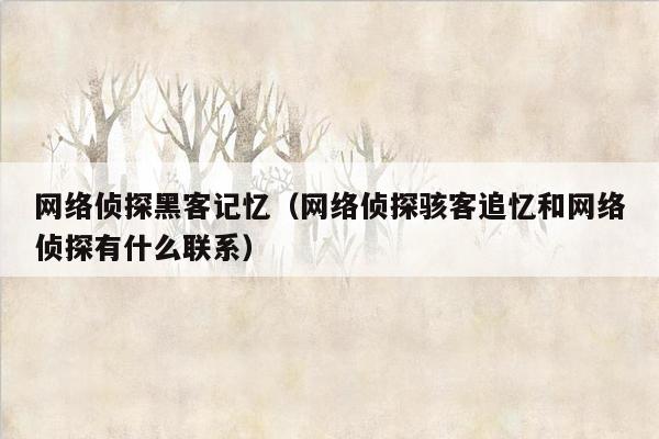 网络侦探黑客记忆（网络侦探骇客追忆和网络侦探有什么联系）