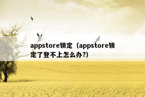 appstore锁定（appstore锁定了登不上怎么办?）