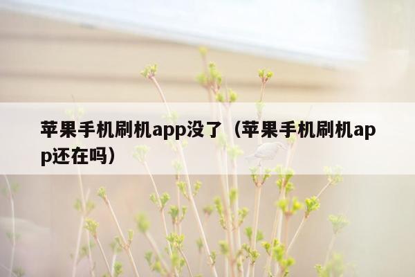 苹果手机刷机app没了（苹果手机刷机app还在吗）