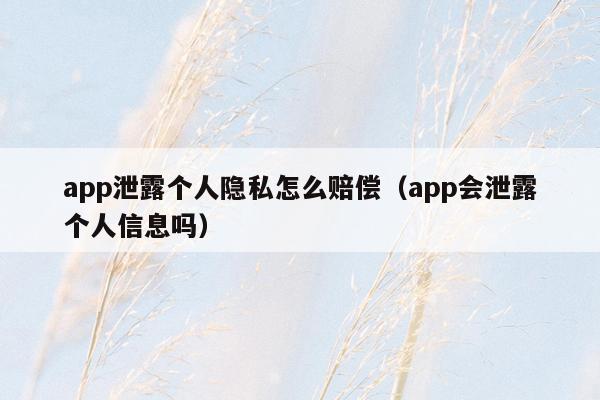 app泄露个人隐私怎么赔偿（app会泄露个人信息吗）