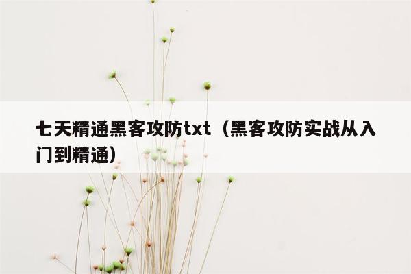 七天精通黑客攻防txt（黑客攻防实战从入门到精通）