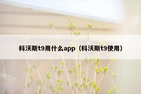 科沃斯t9用什么app（科沃斯t9使用）