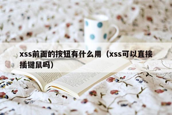 xss前面的按钮有什么用（xss可以直接插键鼠吗）