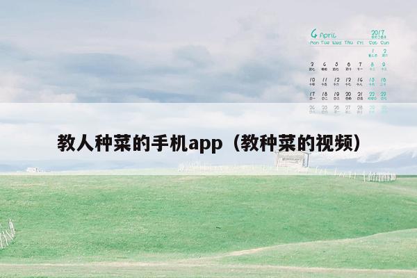 教人种菜的手机app（教种菜的视频）