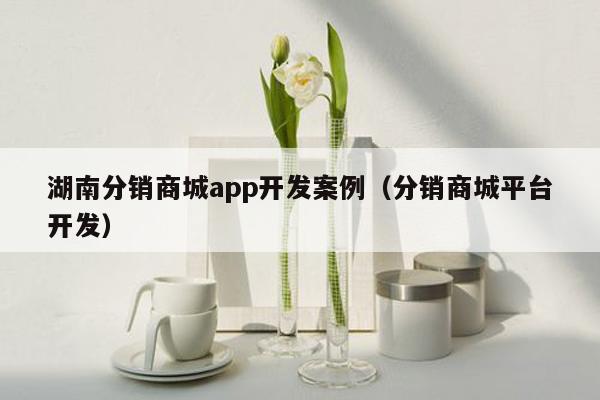 湖南分销商城app开发案例（分销商城平台开发）