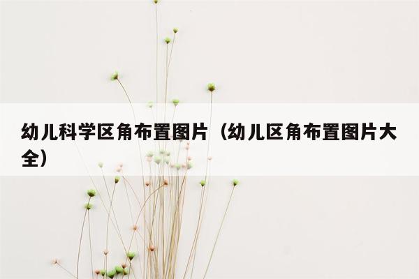 幼儿科学区角布置图片（幼儿区角布置图片大全）