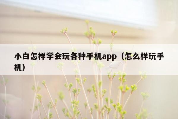 小白怎样学会玩各种手机app（怎么样玩手机）