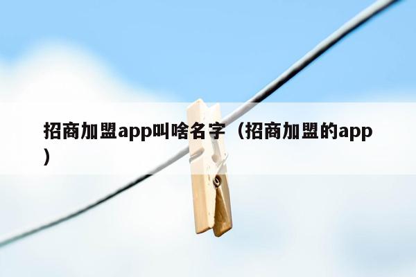 招商加盟app叫啥名字（招商加盟的app）