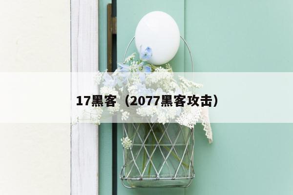 17黑客（2077黑客攻击）