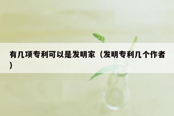 有几项专利可以是发明家（发明专利几个作者）