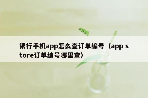 银行手机app怎么查订单编号（app store订单编号哪里查）