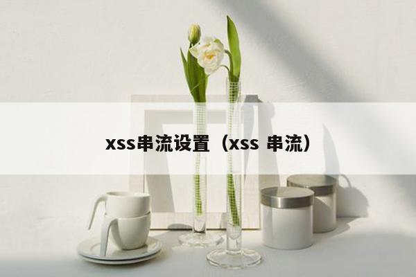 xss串流设置（xss 串流）