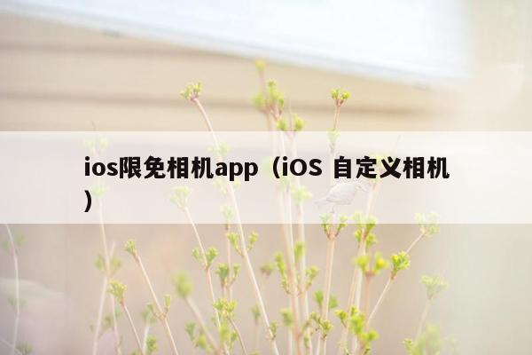 ios限免相机app（iOS 自定义相机）