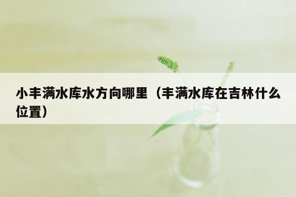 小丰满水库水方向哪里（丰满水库在吉林什么位置）