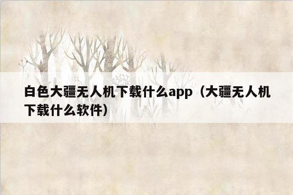 白色大疆无人机下载什么app（大疆无人机下载什么软件）