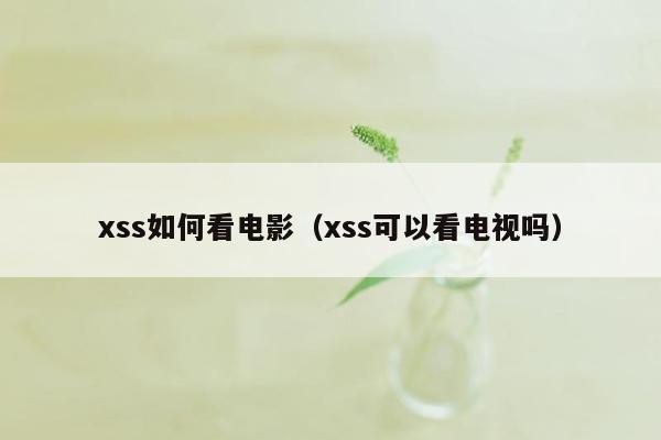 xss如何看电影（xss可以看电视吗）