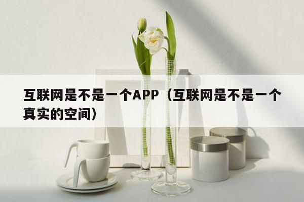 互联网是不是一个APP（互联网是不是一个真实的空间）