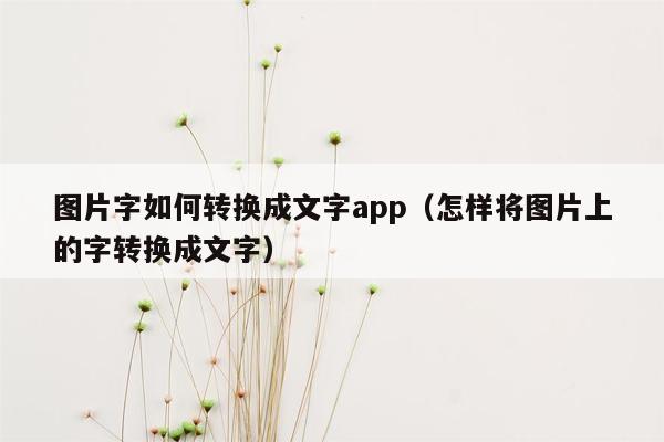 图片字如何转换成文字app（怎样将图片上的字转换成文字）