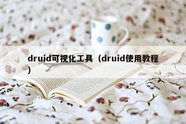 druid可视化工具（druid使用教程）