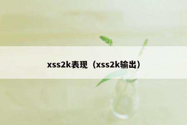 xss2k表现（xss2k输出）