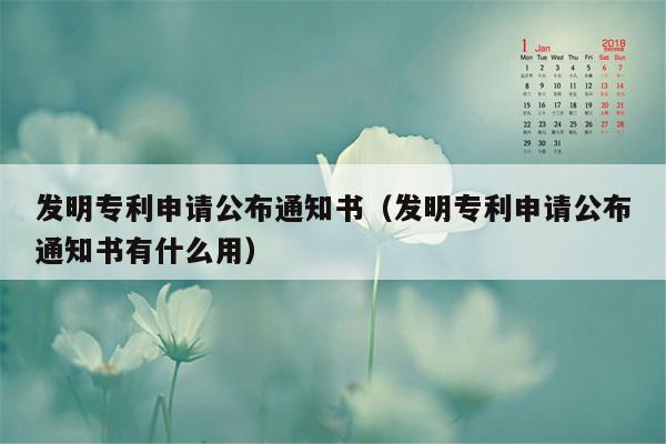 发明专利申请公布通知书（发明专利申请公布通知书有什么用）