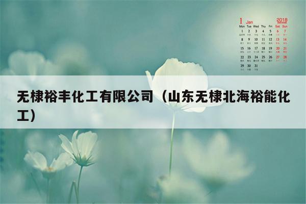 无棣裕丰化工有限公司（山东无棣北海裕能化工）