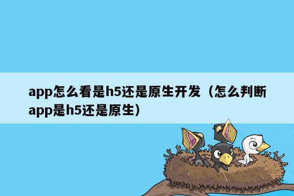 app怎么看是h5还是原生开发（怎么判断app是h5还是原生）