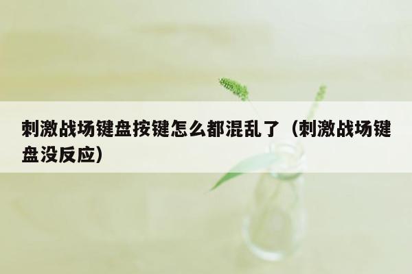 刺激战场键盘按键怎么都混乱了（刺激战场键盘没反应）