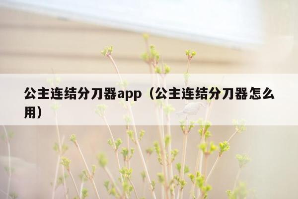 公主连结分刀器app（公主连结分刀器怎么用）