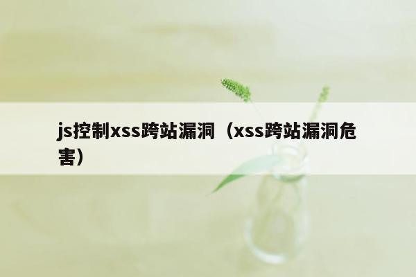 js控制xss跨站漏洞（xss跨站漏洞危害）