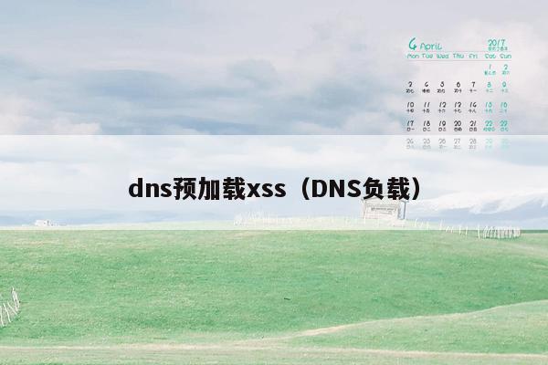 dns预加载xss（DNS负载）