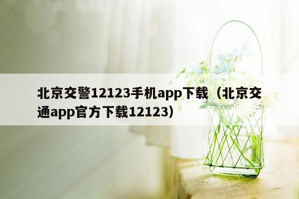 北京交警12123手机app下载（北京交通app官方下载12123）