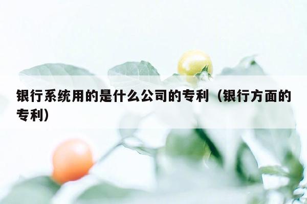 银行系统用的是什么公司的专利（银行方面的专利）