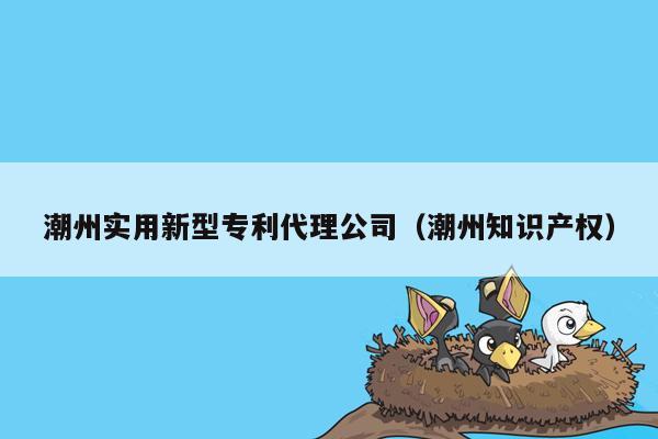 潮州实用新型专利代理公司（潮州知识产权）