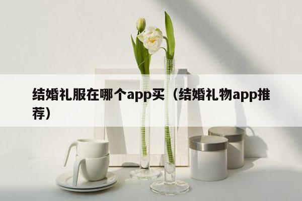 结婚礼服在哪个app买（结婚礼物app推荐）