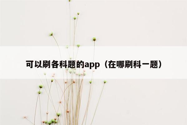 可以刷各科题的app（在哪刷科一题）