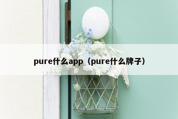 pure什么app（pure什么牌子）