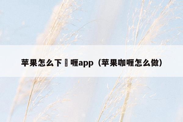 苹果怎么下啫喱app（苹果咖喱怎么做）