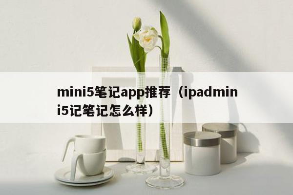 mini5笔记app推荐（ipadmini5记笔记怎么样）