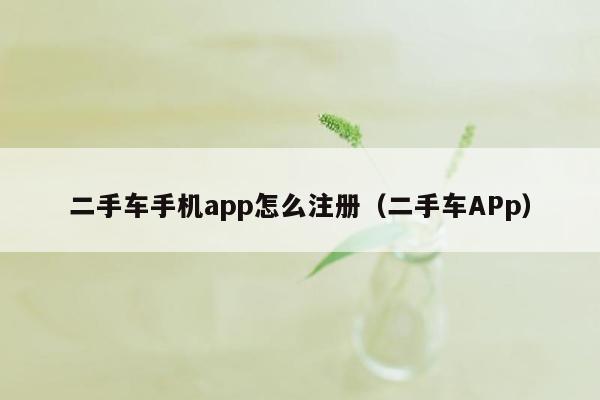 二手车手机app怎么注册（二手车APp）