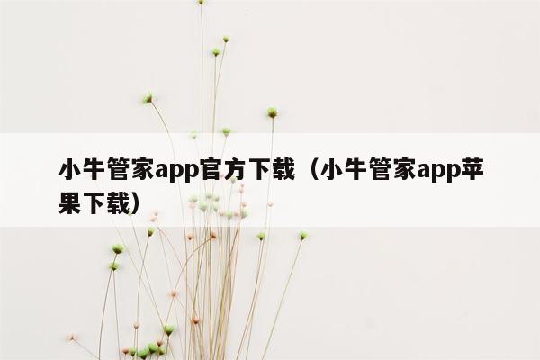 小牛管家app官方下载（小牛管家app苹果下载）