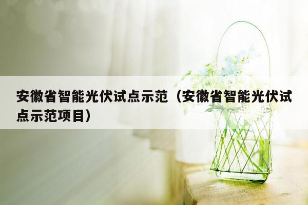 安徽省智能光伏试点示范（安徽省智能光伏试点示范项目）