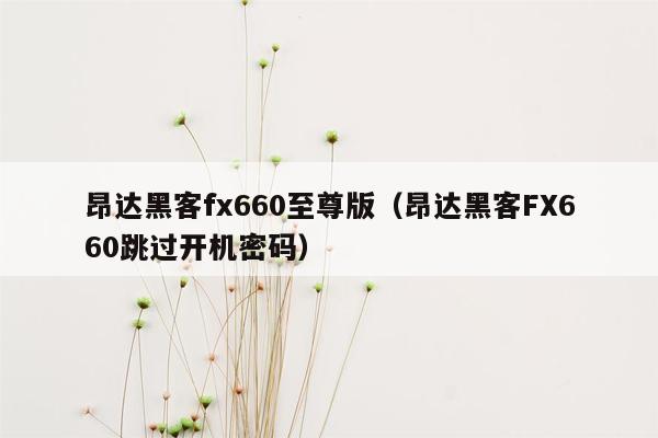 昂达黑客fx660至尊版（昂达黑客FX660跳过开机密码）