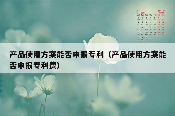 产品使用方案能否申报专利（产品使用方案能否申报专利费）