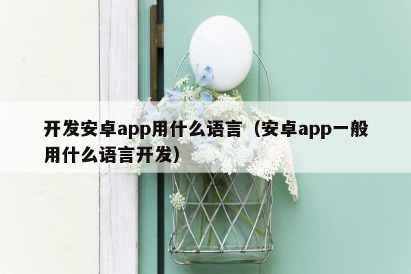 开发安卓app用什么语言（安卓app一般用什么语言开发）