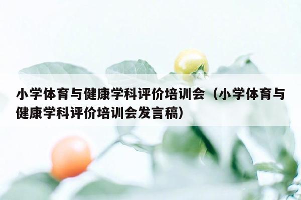 小学体育与健康学科评价培训会（小学体育与健康学科评价培训会发言稿）