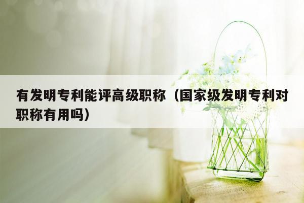 有发明专利能评高级职称（国家级发明专利对职称有用吗）