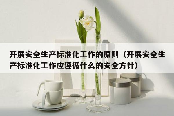 开展安全生产标准化工作的原则（开展安全生产标准化工作应遵循什么的安全方针）